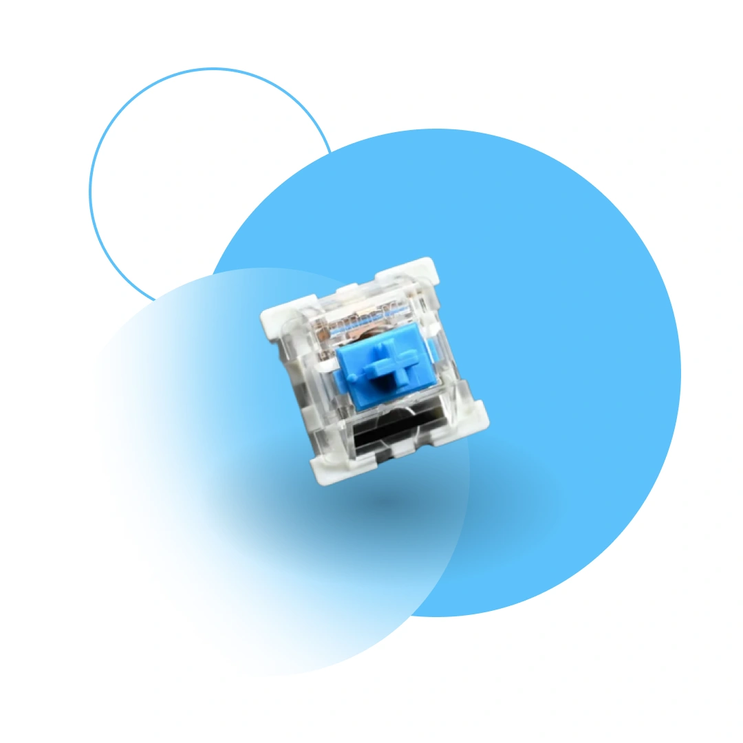 Switch Bleu