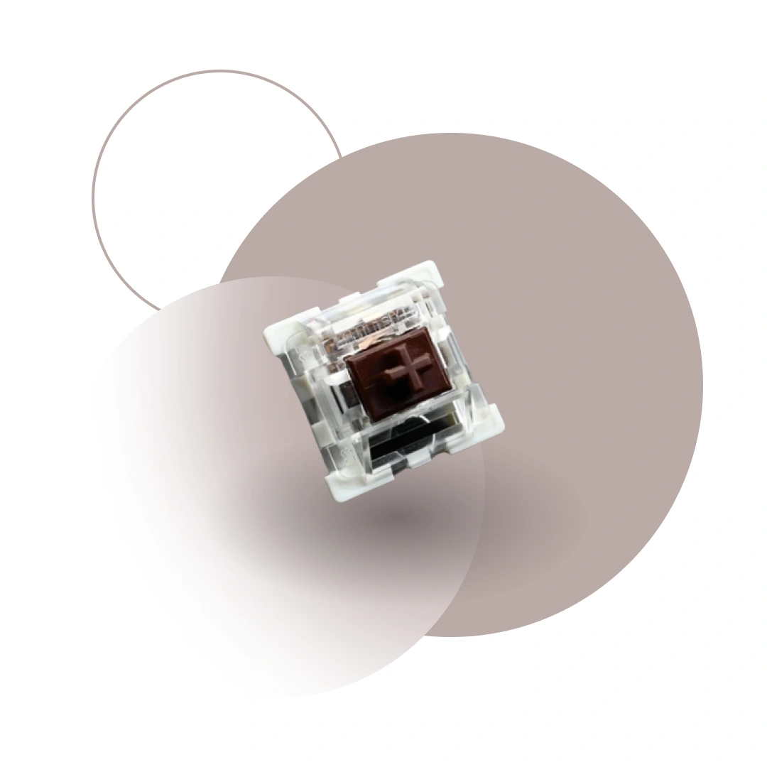 Switch marron