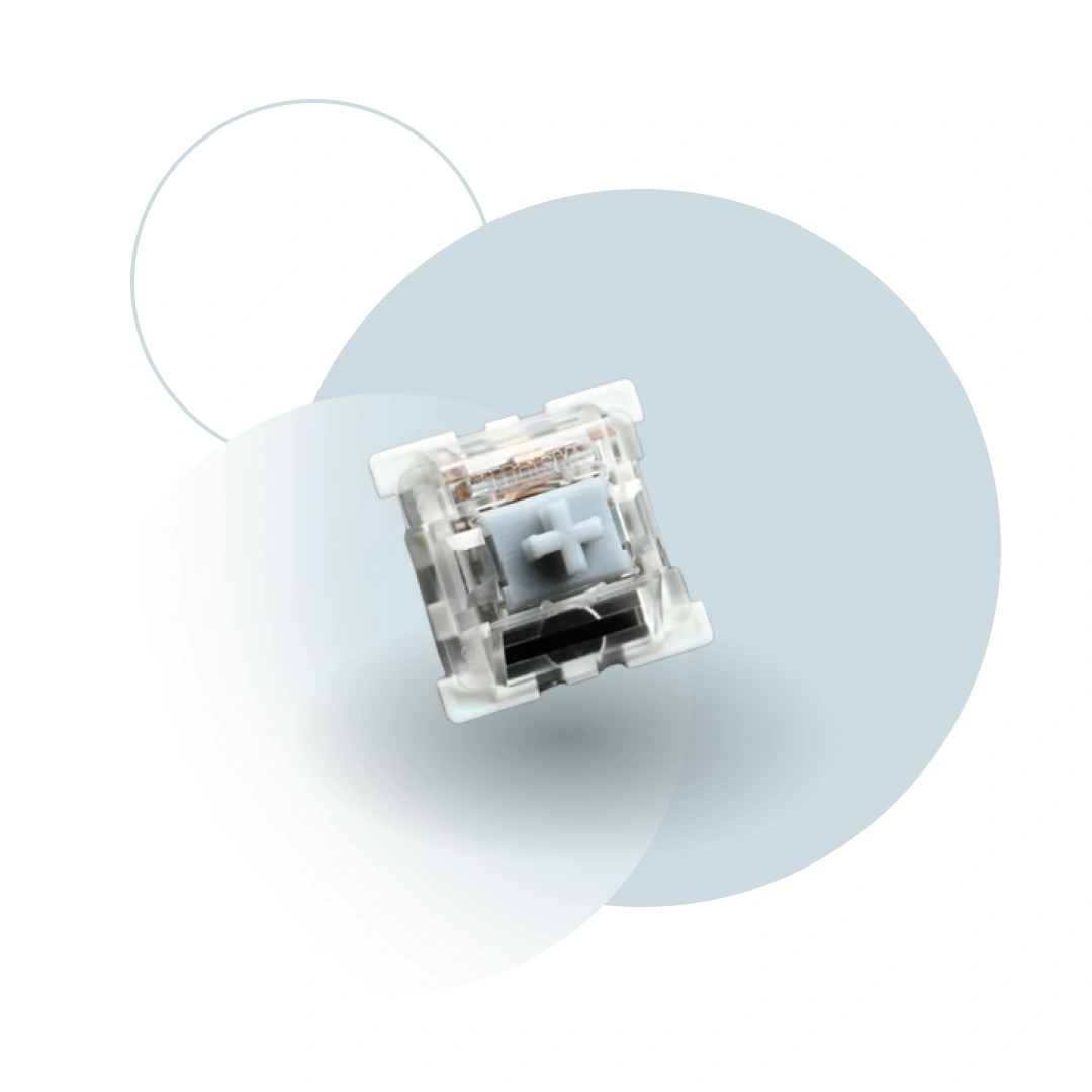 Switch Gris