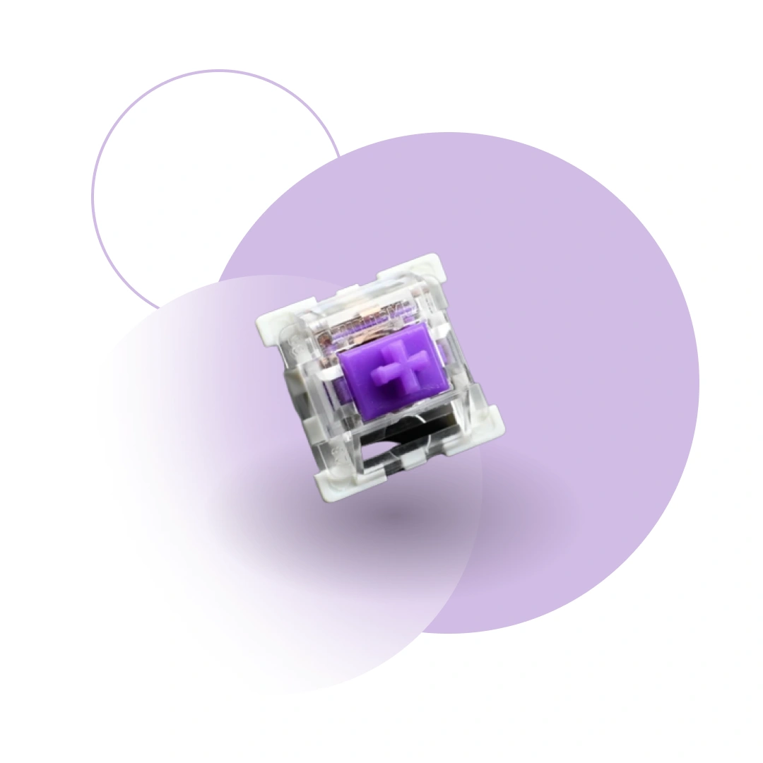 Switch Violet